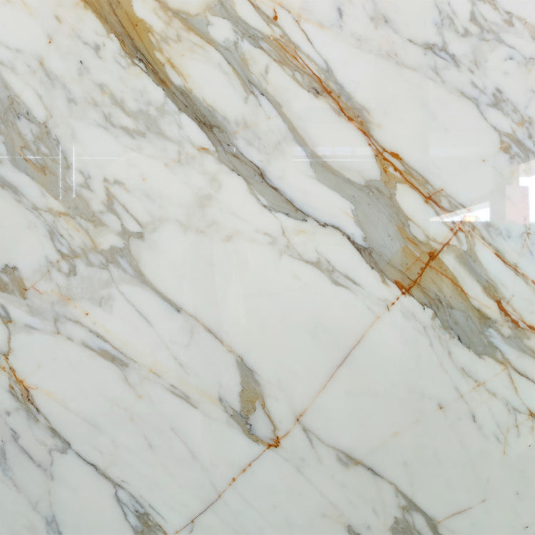 Italian Calacatta Gold Marble Sample