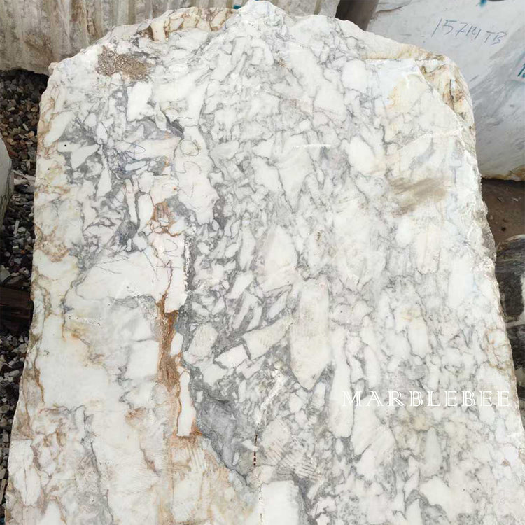 Italian Calacatta Gold Marble Sample