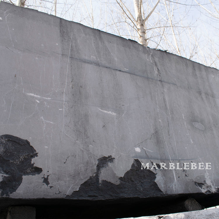 Nero Marquina Marble Sample