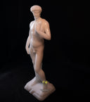 Michelangelo's David statue replica