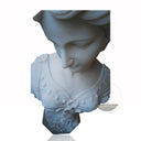 Marble Bust of a Lady in Floral Elegance