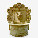 Buy Lion head and pool