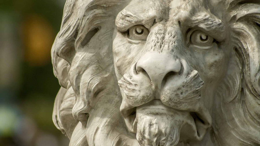 Animal sculpture