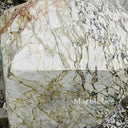 Calacatta Monet Marble Sample