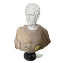 Custom Marble Bust in Beige marble + white marble - Image 3