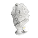 Marble Bust for sale in White marble - Image 3
