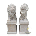 Lion Statues for Sale Classic Beige Limestone Hand-Carved Pair