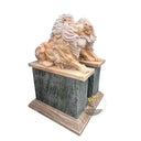 Lion Statues In Front Of House Sunset Red and Light Green Marble Pair