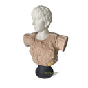 Marble bust in white marble + sunsent red - Image 4