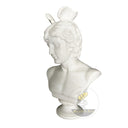 Marble Bust for sale in White marble - Image 4