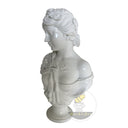 Marble Bust Sculpture in white marble - Image 4