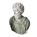 Custom Marble Bust in Green marble + white marble - Image 4