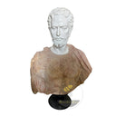 Custom Marble Bust in Beige marble + white marble - Image 4