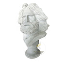 Marble Bust for sale in White marble - Image 5