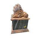 Lion Statues In Front Of House Sunset Red and Light Green Marble Pair
