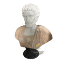 Marble bust in white marble + sunsent red - Image 5