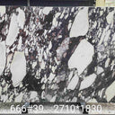 Italian Calacatta Viola Marble Sample