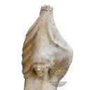 Large Marble Sculpture in Classic Beige Limestone - Image 7