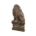 Marble Lion Statue Emperador Dark Roaring Guardian