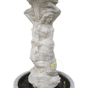 نافورة حديقة من طبقتين