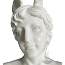 Marble Bust for sale in White marble - Image 7