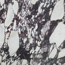 Italian Calacatta Viola Marble Sample