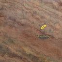 Mirage Red quartzite Slab in Red quartzite - Image 3
