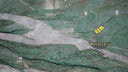 Da Vinci Green Quartzite Slab in Da Vinci Green Quartzite - Image 6