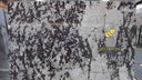 Patagonia quartzite slab  in Patagonia quartzite - Image 6