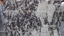 Patagonia quartzite slab in Patagonia quartzite - Image 7