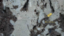 Patagonia quartzite slab  in Patagonia quartzite - Image 8