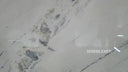 Yugoslavia White Marble Slab in Yugoslavia White Marble - Image 4