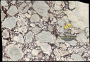 Calacatta Viola Marble Slab in Calacatta Viola Marble - Image 1