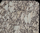 Calacatta Viola Marble Slab in Calacatta Viola Marble - Image 4