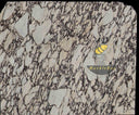 Calacatta Viola Marble Slab in Calacatta Viola Marble - Image 3