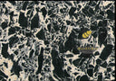 Napoleon Black Marble Slab in Napoleon Black Marble - Image 1