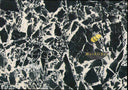 Napoleon Black Marble Slab in Napoleon Black Marble - Image 2