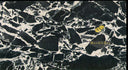 Napoleon Black Marble Slab in Napoleon Black Marble - Image 3