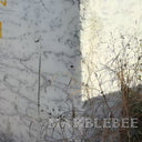 Bianco Carrara Sample