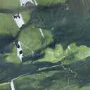 Avocatus Quartzite Sample