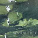 Avocatus Quartzite Sample