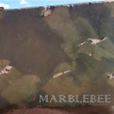 Avocatus Quartzite Sample