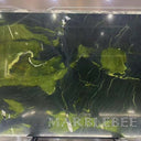 Avocatus Quartzite Sample