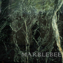 Verde Alpi Marble Sample