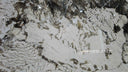 Patagonia quartzite slab in Patagonia quartzite - Image 1