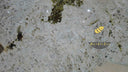 Patagonia quartzite slab in Patagonia quartzite - Image 4