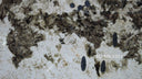 Patagonia quartzite slab in Patagonia quartzite - Image 7