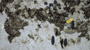 Patagonia quartzite slab in Patagonia quartzite - Image 5