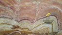 Tiger Onyx slab in Tiger Onyx - Image 3