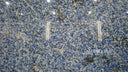 Brazil Blue Azul Bahia Granite slab in Brazil Blue Azul Bahia Granite - Image 1